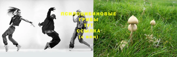 амф Абаза