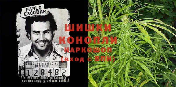 эйфоретик Сосновый Бор
